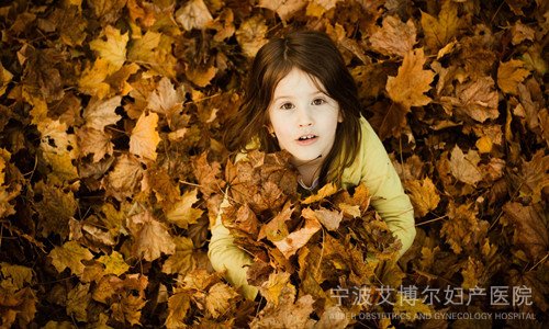 ڣӻ